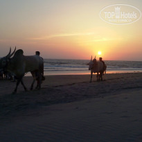 фото из отзыва ID 1985082