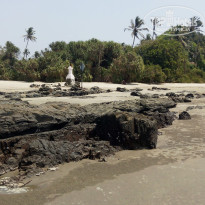 фото из отзыва ID 1985082