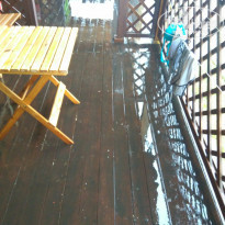 фото из отзыва ID 1987200