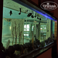 фото из отзыва ID 1986620