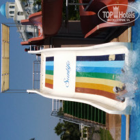 фото из отзыва ID 1987261