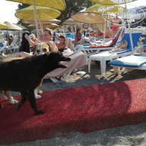 фото из отзыва ID 1987084