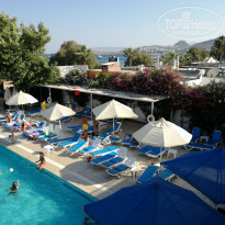 фото из отзыва ID 1987084