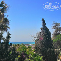 фото из отзыва ID 1987371