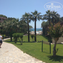 фото из отзыва ID 1987373