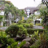 фото из отзыва ID 1987463