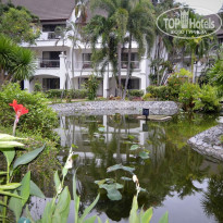 фото из отзыва ID 1987463