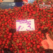 фото из отзыва ID 1987616