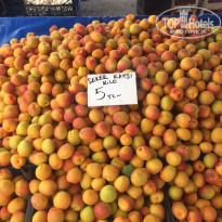 фото из отзыва ID 1987616