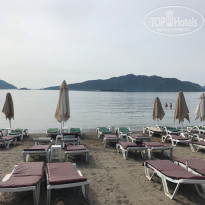 фото из отзыва ID 1982978