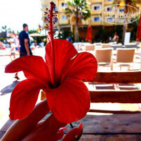 фото из отзыва ID 1987750