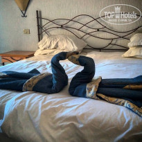 фото из отзыва ID 1987750