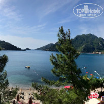 фото из отзыва ID 1982978