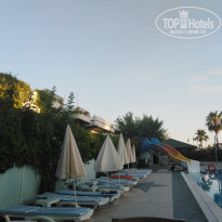 фото из отзыва ID 1987716