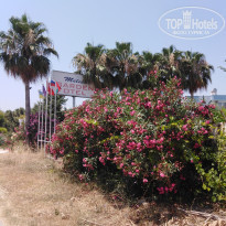 фото из отзыва ID 1987716