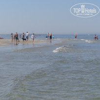 фото из отзыва ID 1987649