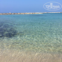 фото из отзыва ID 1986677