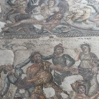 фото из отзыва ID 1987806