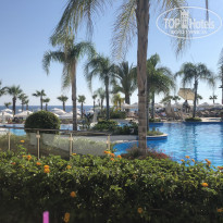 фото из отзыва ID 1987806