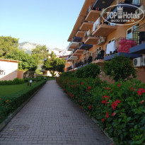 фото из отзыва ID 1987933