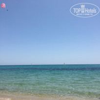 фото из отзыва ID 1986385