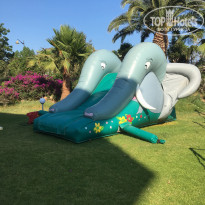 фото из отзыва ID 1986385