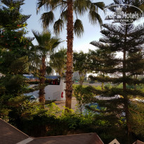 фото из отзыва ID 1988012