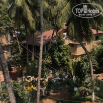 фото из отзыва ID 1988059