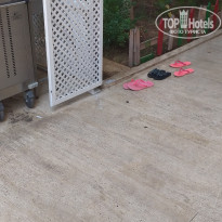 фото из отзыва ID 1988055