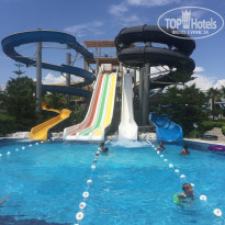 фото из отзыва ID 1988092