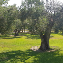 фото из отзыва ID 1987192