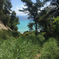 фото из отзыва ID 1988123