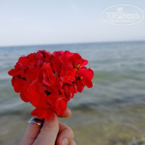 фото из отзыва ID 1988132