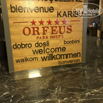 фото из отзыва ID 1988174