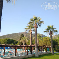 фото из отзыва ID 1986965