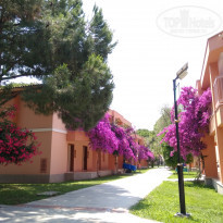 фото из отзыва ID 1986965