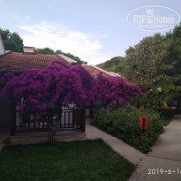 фото из отзыва ID 1986965