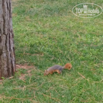 фото из отзыва ID 1986965