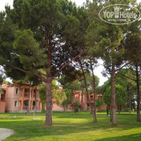 фото из отзыва ID 1986965