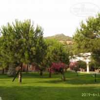 фото из отзыва ID 1986965