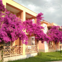 фото из отзыва ID 1986965