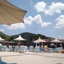 фото из отзыва ID 1986965