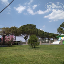 фото из отзыва ID 1986965