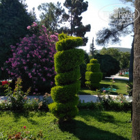 фото из отзыва ID 1986965