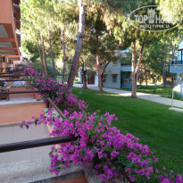 фото из отзыва ID 1986965