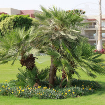 фото из отзыва ID 1988201