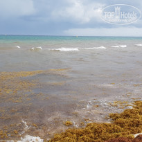 фото из отзыва ID 1988244