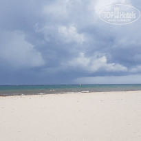 фото из отзыва ID 1988244