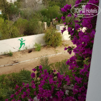 фото из отзыва ID 1988282