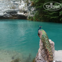 фото из отзыва ID 1988309